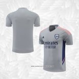Camiseta de Entrenamiento Arsenal 2022-2023 Gris